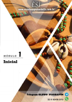 1MÓDULO INICIAL (1).pdf